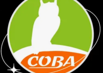Сова Тюмень Купить Квартиру 2 Комнатную